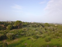 Foto14