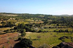 Foto3