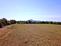 Foto13