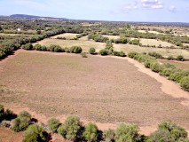 Foto4