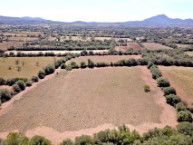 Foto8
