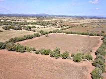 Foto10