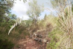 Foto18