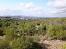 Foto4