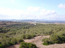 Foto5
