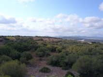 Foto9