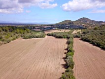 Foto11