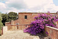 Foto16