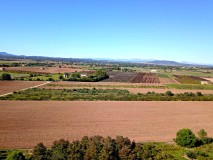Foto5