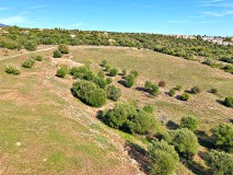 Foto8