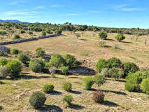 Foto10