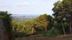 Foto5
