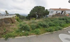 Foto1