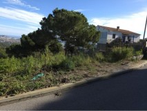 Foto4