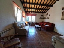 Foto7