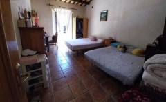 Foto8