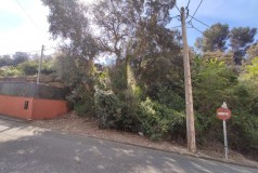 Foto7