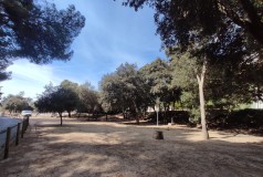 Foto6