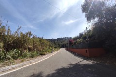 Foto2