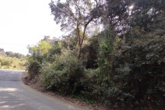 Foto9
