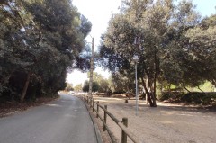 Foto11