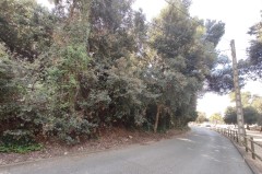 Foto14