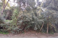 Foto16