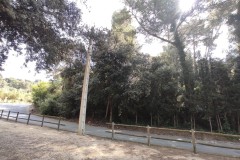 Foto13