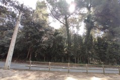 Foto12