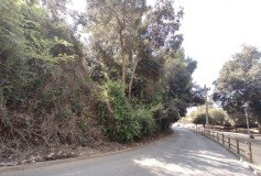 Foto18