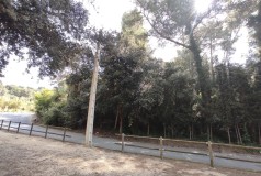 Foto17