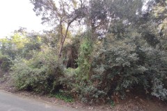 Foto15