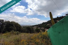 Foto5