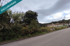 Foto8