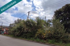 Foto4