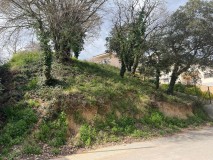Foto9