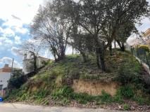 Foto4