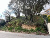 Foto6
