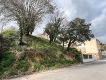 Foto5