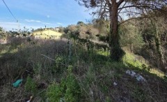 Foto3