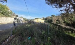 Foto6