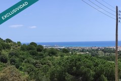 Foto9