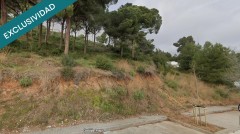 Foto4