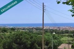 Foto6