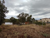 Foto15