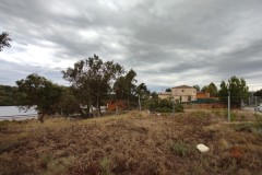Foto14