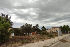 Foto7
