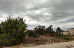 Foto8