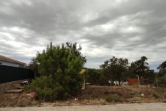 Foto10