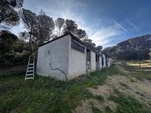 Foto5